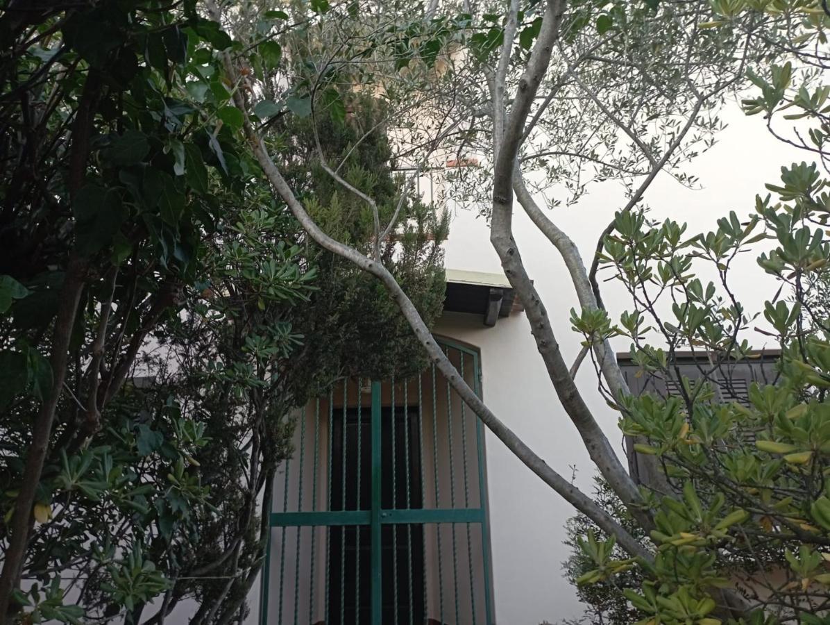 Domus Garden Bed & Breakfast Olbia Ngoại thất bức ảnh