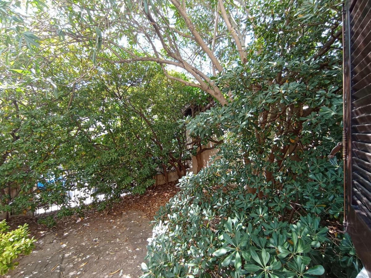 Domus Garden Bed & Breakfast Olbia Ngoại thất bức ảnh