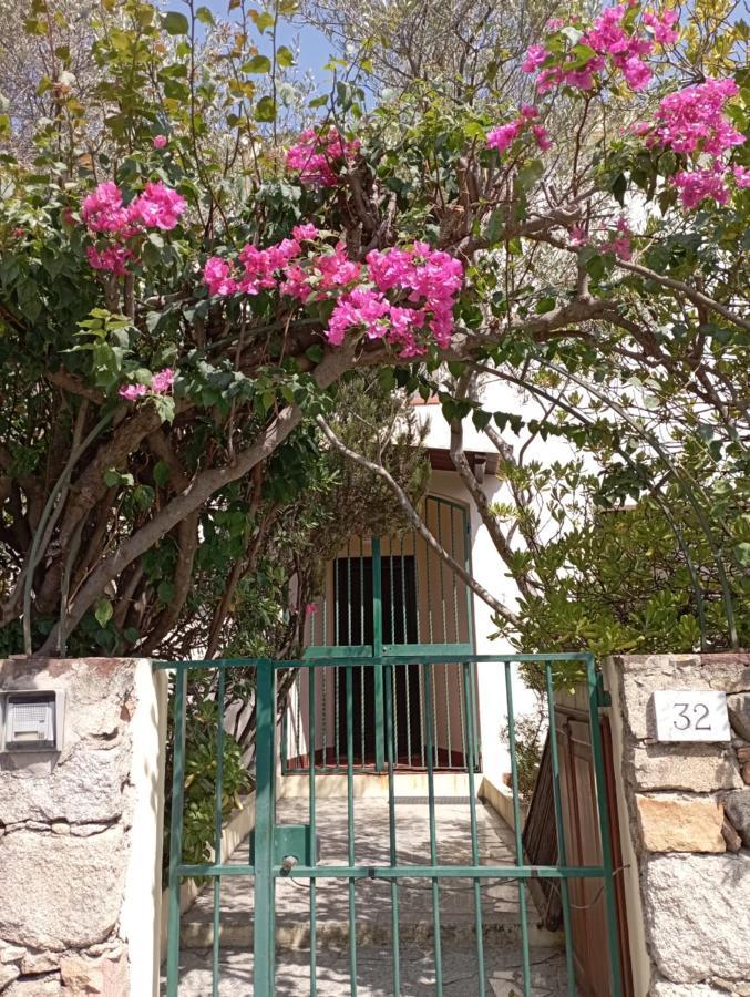 Domus Garden Bed & Breakfast Olbia Ngoại thất bức ảnh